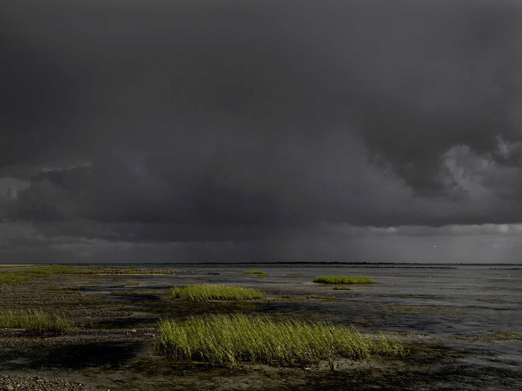 Henrik Saxgren, "Skumring, Mandø. 2019"