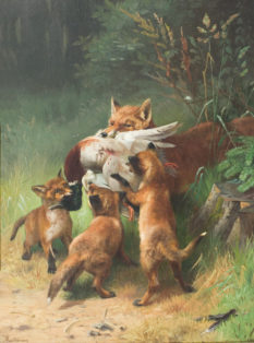 En ræv kommer hjem med en and til tre unger