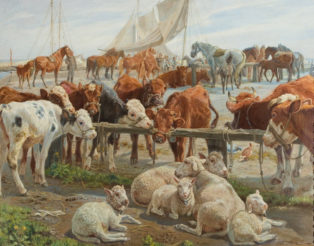 Shipment of cattle from the harbour of Kastrup in the island of Saltholm